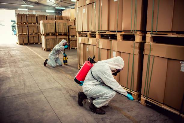 Best Termite Control Services  in Strathmore, NJ