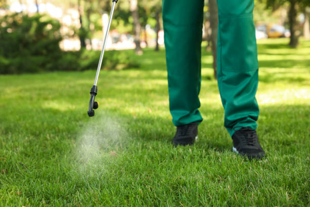 Wasp Removal Services in Strathmore, NJ