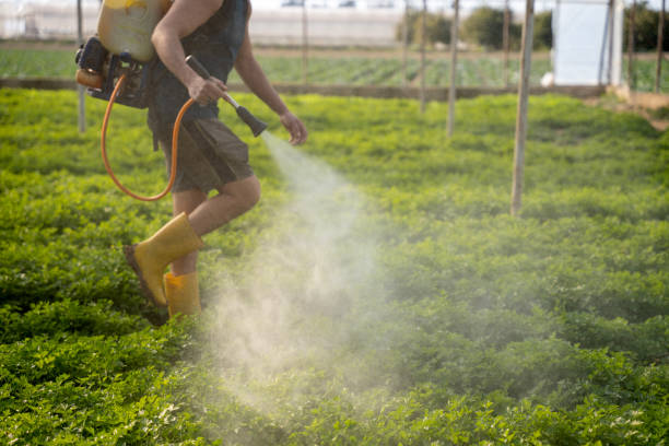 Best Pest Control Cost  in Strathmore, NJ