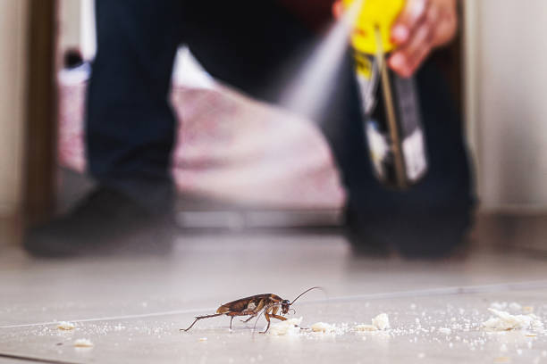 Best Wildlife Control Services  in Strathmore, NJ