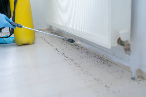 Pest Control Cost in Strathmore, NJ